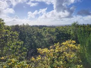 Renovated Retreat with Pool - By Traum Ferienwohnungen