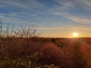 Renovated Retreat with Pool - By Traum Ferienwohnungen