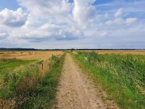 6 person holiday home in Løgstør-By Traum