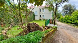 Mayfield Valley Homestay