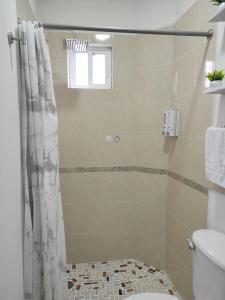 Departamento Luz de Lino