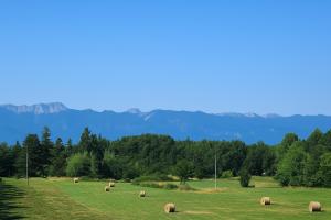 Villa Zora - Oaza mira u srcu Like