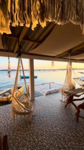 Loyal friend hostel karimunjawa