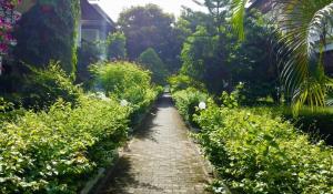 Natural Villas - Baan Somprasong