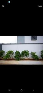 Luxurious 3 bhk apartment