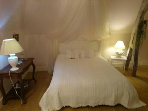 B&B / Chambres d'hotes Chateau Des Roises : photos des chambres