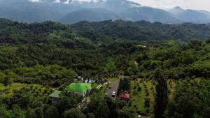 Kokhta guest house On the mountain