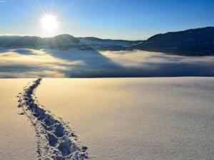 Charming Chalet Near Trails