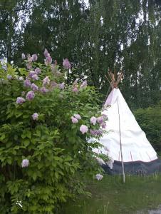 Taideniityn PikkuTaika 1-2lle