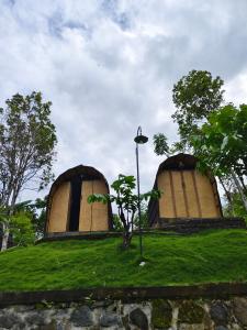 Tranquil Riverside Camping