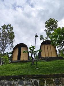 Tranquil Riverside Camping