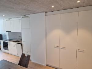 Zürich apartment, 38 sqm