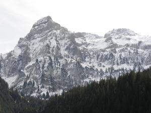 Chalet in Lenk near Simmen Falls