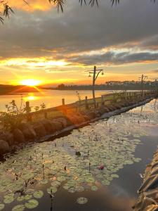 Biển Hồ Garden Glamping