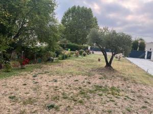 Maisons d'hotes Chambre double -vue sur jardin : photos des chambres