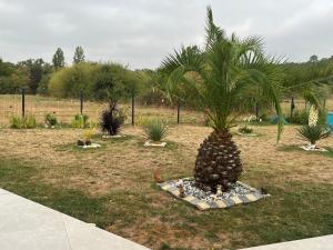 Maisons d'hotes Chambre double -vue sur jardin : photos des chambres