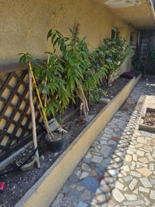 Appartements L-olivier Narbonnais Clim Wi-Fi : photos des chambres