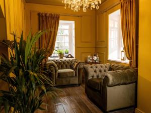 The Forest at Mount Congreve Gardens