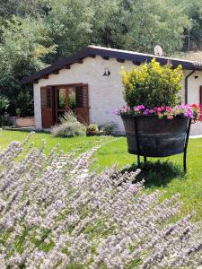 Agriturismo Casale Tozzetti
