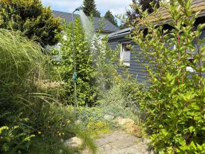 Erholen im Tiny House am Waldrand