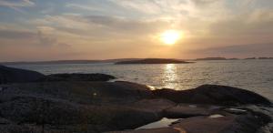 Central penthouse rooms near ferry, bus, nature