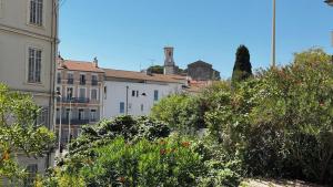 Cannes centre - Forville Market