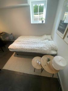 Newly renovated apartment close to city center