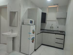 شقة مفروشة فاخرة