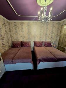 KLEOPÁTRA Apartman HAJDÚSZOBOSZLÓ