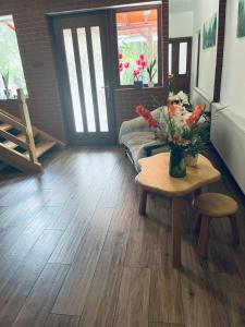 Natural Retreat Apartment Sovata