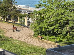 DreamSide Apartment by Ili - Next to Dreamland Oasis, Chakvi