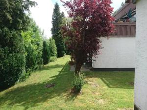 Peaceful Stay in Winterberg