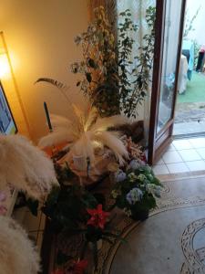 COMME A LA MAISON Chez Domi Coquet T2 Avec JARDIN