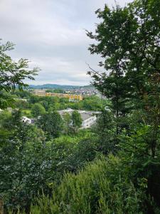 NEU Ganze Wohnung Boxspringbett & Gartenzugang