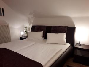 Apartment in Lungau near Ski Bus and Forest