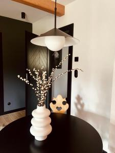 Apartamenty Sleep & Sheep