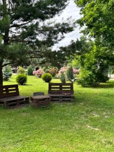 Кемпінг у кінному клубі