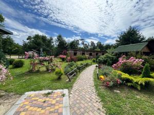 Кемпінг у кінному клубі