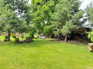 Кемпінг у кінному клубі