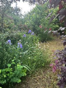 B&B / Chambres d'hotes La coutoisiere : photos des chambres