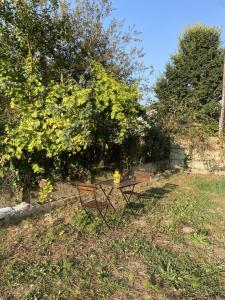 Appartements L-appentis de Kerneve : photos des chambres