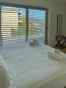 Mont des Olives - Cap Dail- app7