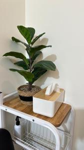 Cozy QC Condo with Karaoke Pool & Fast WiFi