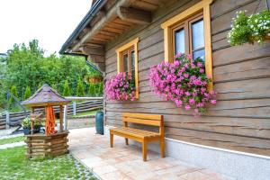 Drevenica LINE Košice