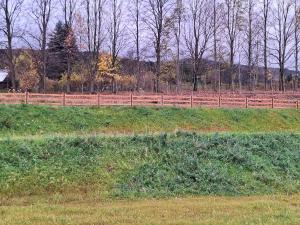 Apartament Śznieszka Kowary