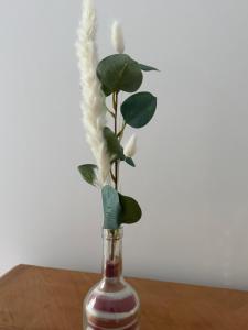 Charmante maison de campagne