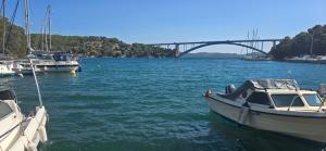 Apartmani Deniza 4 guests