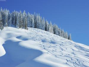 Chalet in Saalbach near Ski Lift