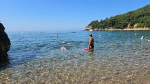 Доброморе Будва