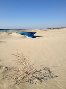 house with pool, beach access by private road